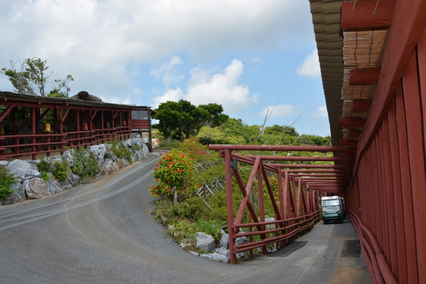 カート道(復路)