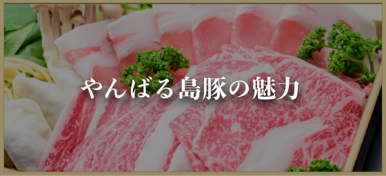 やんばる島豚の魅力
